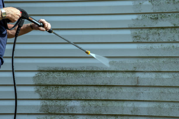 Best Spring Cleaning  in Freeman, SD